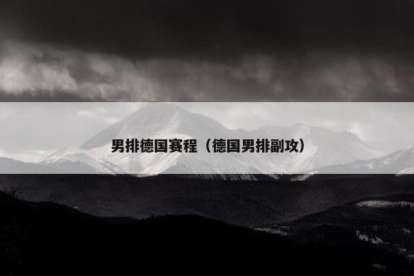 男排德国赛程（德国男排副攻）