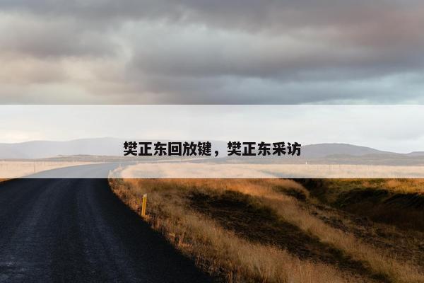 樊正东回放键，樊正东采访