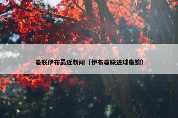 曼联伊布最近新闻（伊布曼联进球集锦）