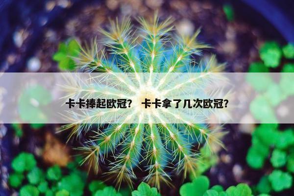 卡卡捧起欧冠？ 卡卡拿了几次欧冠？