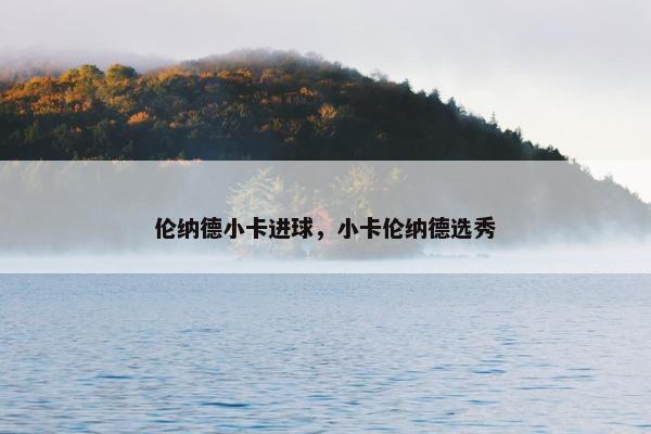 伦纳德小卡进球，小卡伦纳德选秀