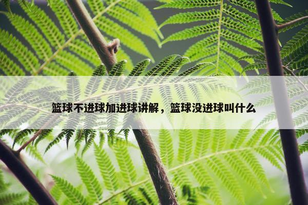 篮球不进球加进球讲解，篮球没进球叫什么