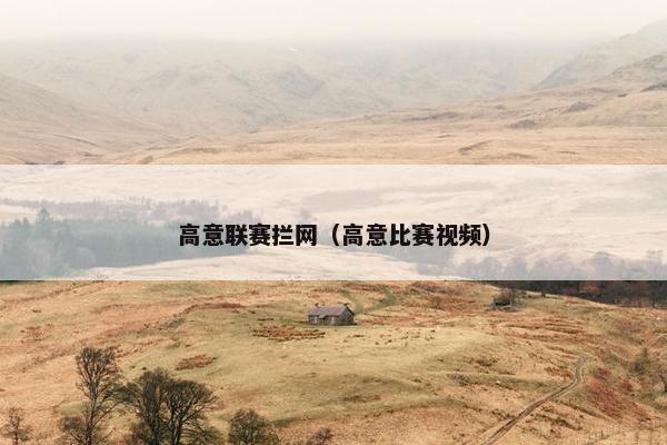 高意联赛拦网（高意比赛视频）