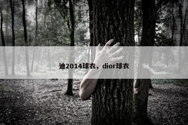 迪2014球衣，dior球衣