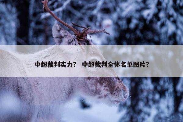 中超裁判实力？ 中超裁判全体名单图片？