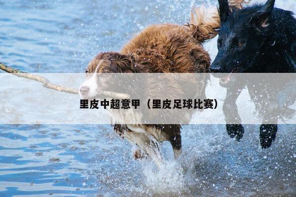 里皮中超意甲（里皮足球比赛）