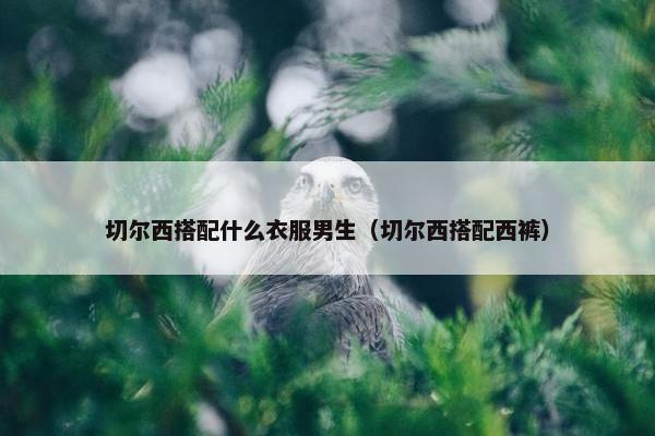 切尔西搭配什么衣服男生（切尔西搭配西裤）