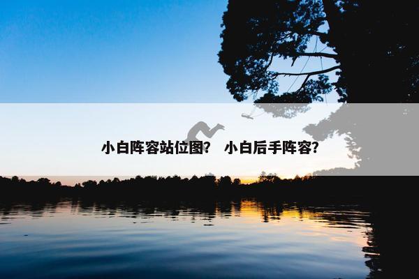 小白阵容站位图？ 小白后手阵容？