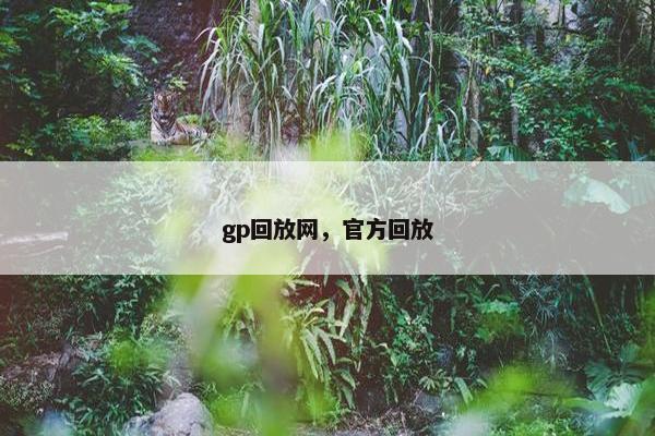 gp回放网，官方回放