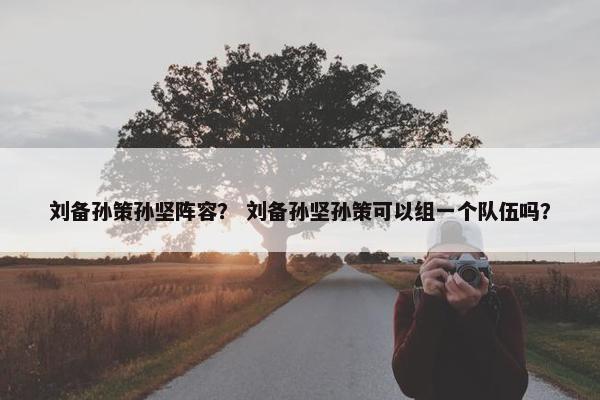 刘备孙策孙坚阵容？ 刘备孙坚孙策可以组一个队伍吗？