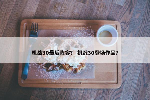 机战30最后阵容？ 机战30登场作品？