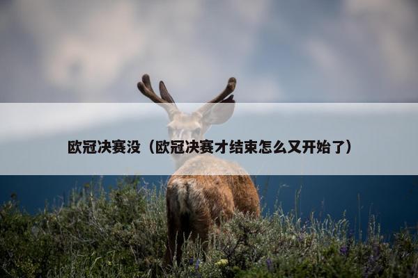 欧冠决赛没（欧冠决赛才结束怎么又开始了）