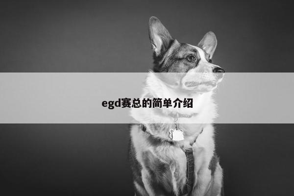 egd赛总的简单介绍