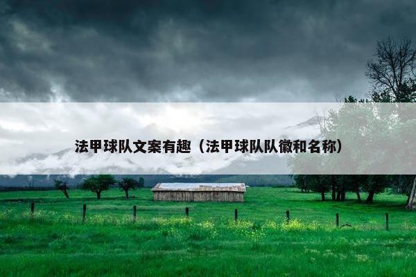 法甲球队文案有趣（法甲球队队徽和名称）