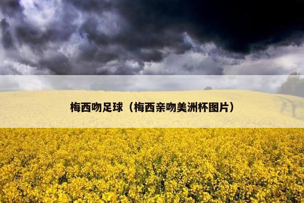 梅西吻足球（梅西亲吻美洲杯图片）