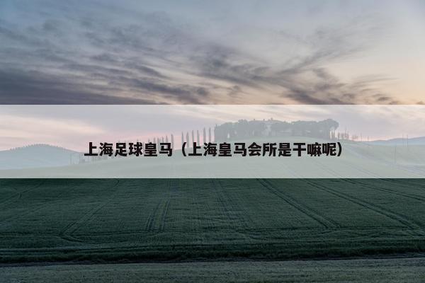 上海足球皇马（上海皇马会所是干嘛呢）