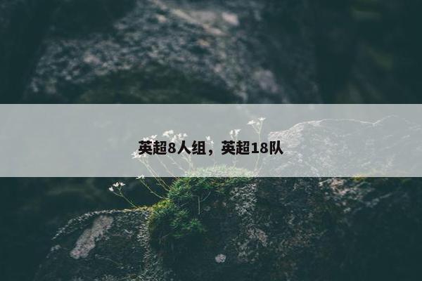 英超8人组，英超18队