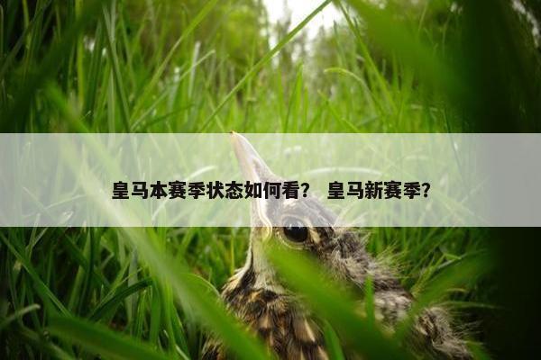 皇马本赛季状态如何看？ 皇马新赛季？