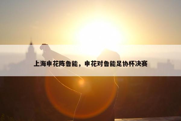上海申花阵鲁能，申花对鲁能足协杯决赛