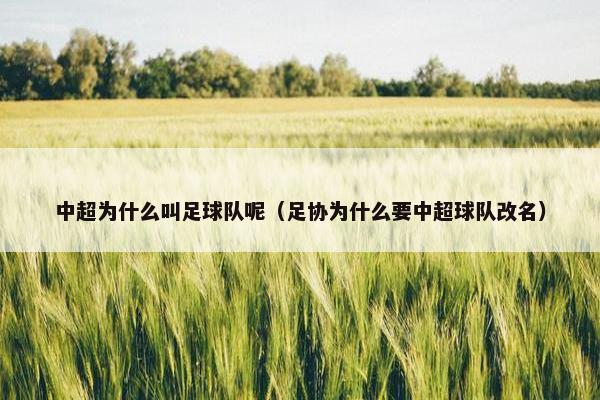 中超为什么叫足球队呢（足协为什么要中超球队改名）