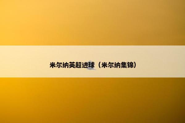 米尔纳英超进球（米尔纳集锦）