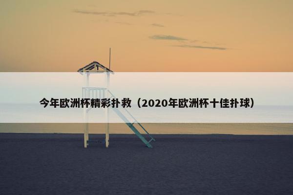今年欧洲杯精彩扑救（2020年欧洲杯十佳扑球）