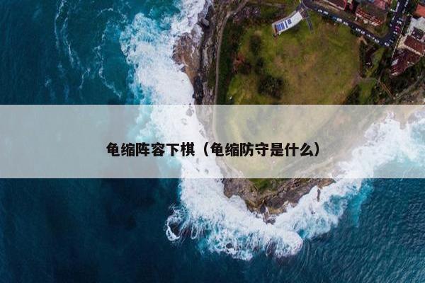 龟缩阵容下棋（龟缩防守是什么）