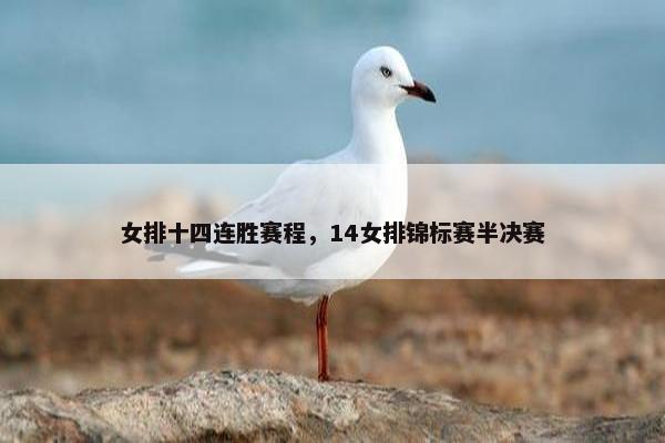 女排十四连胜赛程，14女排锦标赛半决赛
