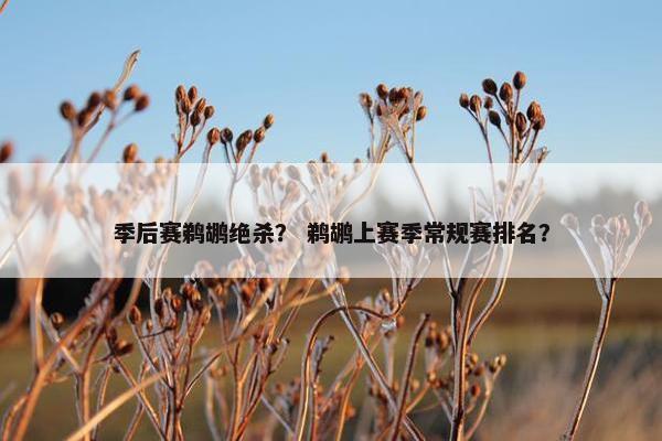 季后赛鹈鹕绝杀？ 鹈鹕上赛季常规赛排名？