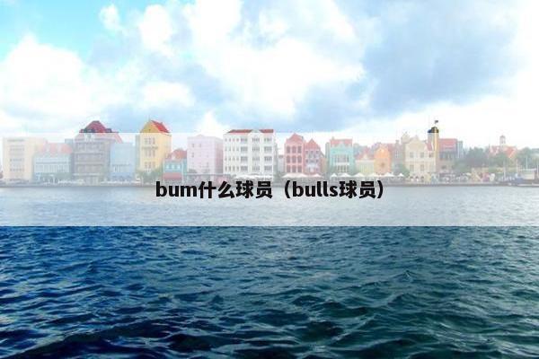bum什么球员（bulls球员）