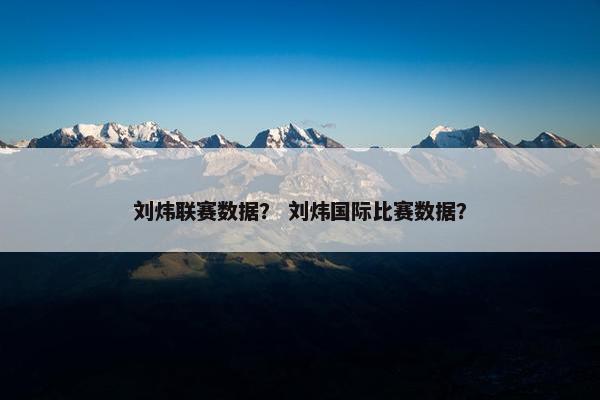 刘炜联赛数据？ 刘炜国际比赛数据？