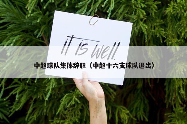 中超球队集体辞职（中超十六支球队退出）