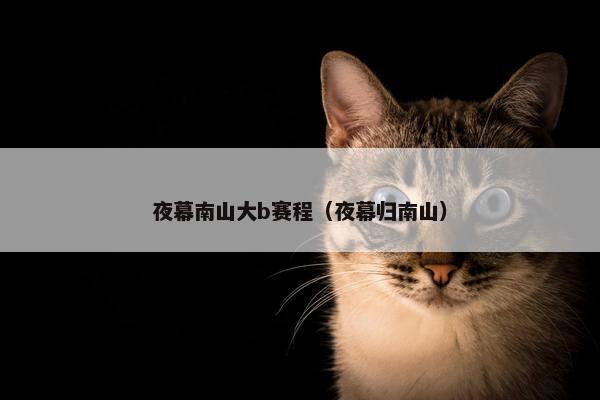 夜幕南山大b赛程（夜幕归南山）