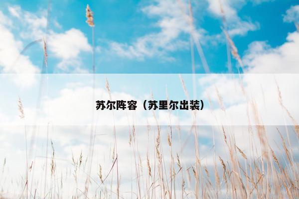 苏尔阵容（苏里尔出装）