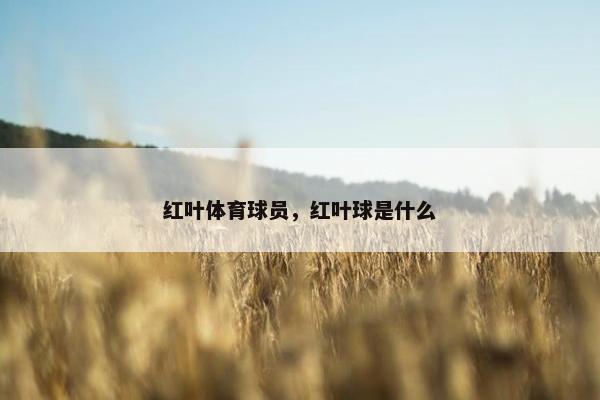 红叶体育球员，红叶球是什么
