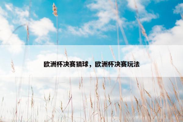 欧洲杯决赛猜球，欧洲杯决赛玩法