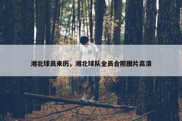 湘北球员来历，湘北球队全员合照图片高清