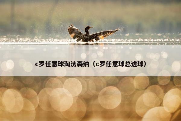c罗任意球淘汰森纳（c罗任意球总进球）