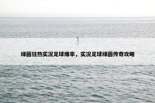 绿茵狂热实况足球爆率，实况足球绿茵传奇攻略