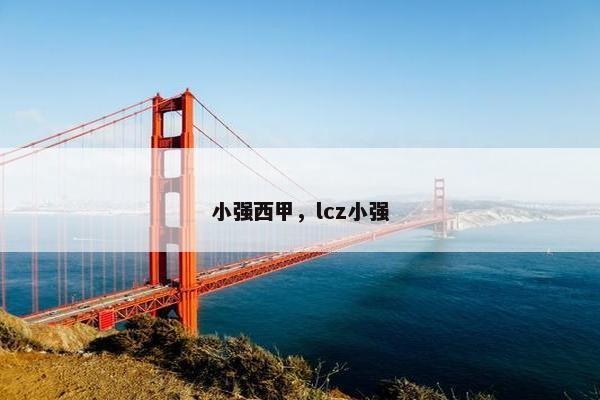 小强西甲，lcz小强