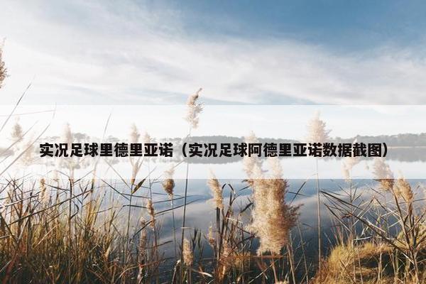 实况足球里德里亚诺（实况足球阿德里亚诺数据截图）