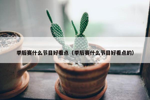 季后赛什么节目好看点（季后赛什么节目好看点的）