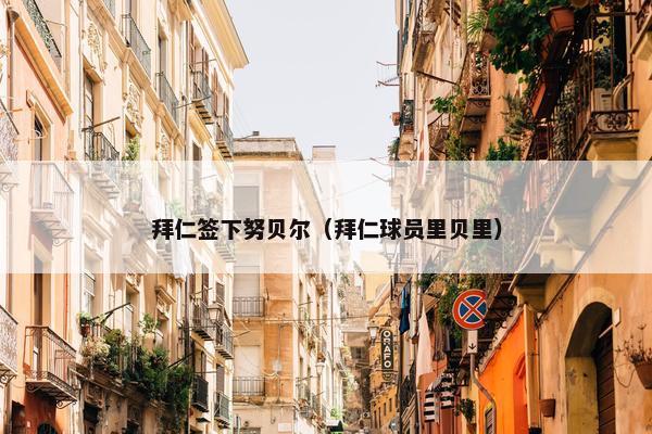 拜仁签下努贝尔（拜仁球员里贝里）