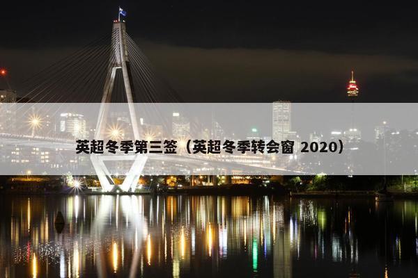 英超冬季第三签（英超冬季转会窗 2020）