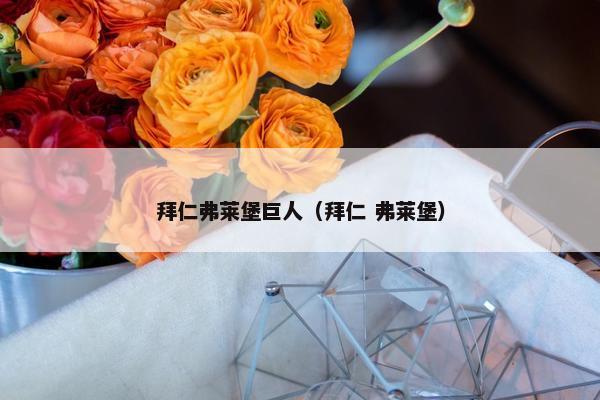 拜仁弗莱堡巨人（拜仁 弗莱堡）