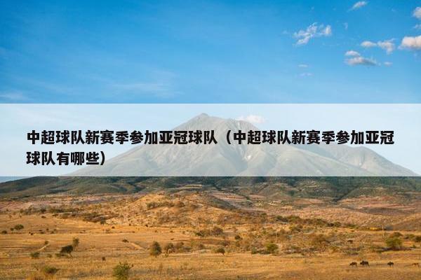 中超球队新赛季参加亚冠球队（中超球队新赛季参加亚冠球队有哪些）