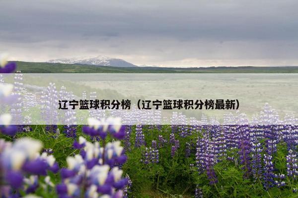 辽宁篮球积分榜（辽宁篮球积分榜最新）