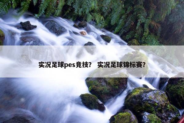 实况足球pes竞技？ 实况足球锦标赛？