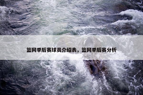 篮网季后赛球员介绍表，篮网季后赛分析