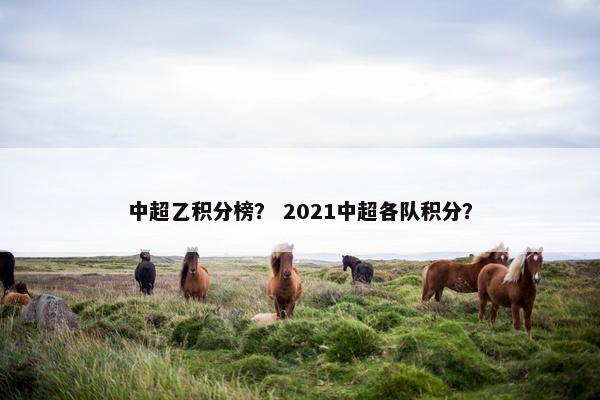 中超乙积分榜？ 2021中超各队积分？